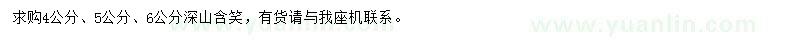 求購(gòu)4、5、6公分深山含笑
