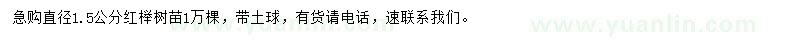 求購直徑1.5公分紅櫸樹苗