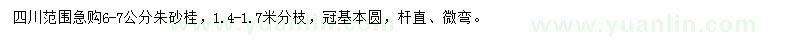 求購6-7公分朱砂桂