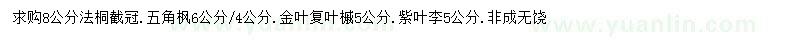 求購法桐、五角楓、金葉復(fù)葉槭 等
