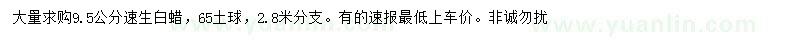 求購(gòu)9.5公分速生白蠟