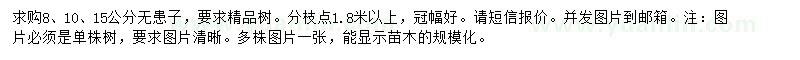 求購(gòu)8、10、15公分無(wú)患子