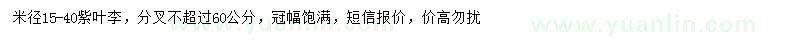 求購米徑15-40紫葉李