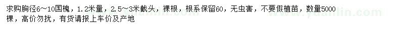 求購(gòu)胸徑6-10公分國(guó)槐
