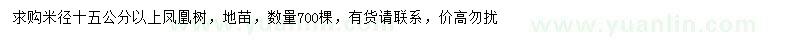 求購米徑十五公分以上鳳凰樹