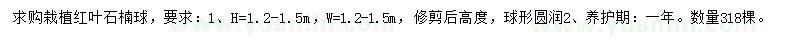 求購紅葉石楠球