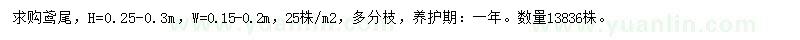 求購鳶尾