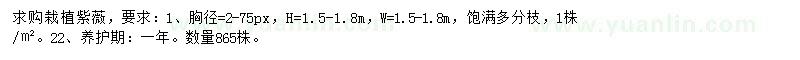 求購(gòu)紫薇