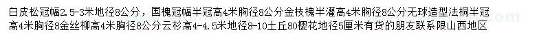 求購(gòu)白皮松、國(guó)槐、金枝槐等