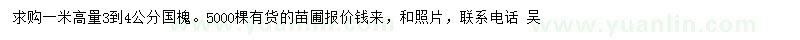 求購3-4公分國槐