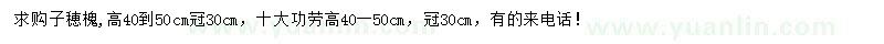 求購高40-50公分子穂槐、十大功勞
