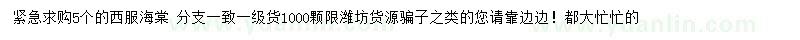 求購5公分西府海棠