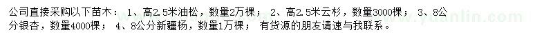 求購油松、云杉、銀杏等