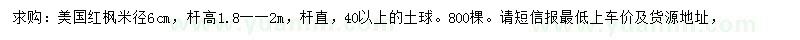 求購米徑6公分美國紅楓