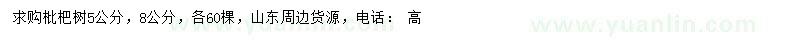 求購(gòu)5、8公分枇杷樹