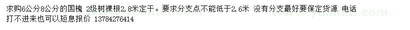 求購6、8公分國槐