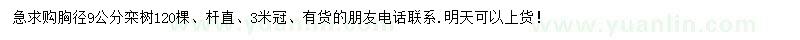 求購(gòu)胸徑9公分欒樹