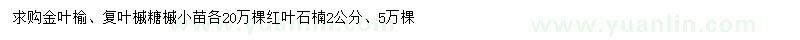 求購(gòu)金葉榆、復(fù)葉槭、糖槭小苗等