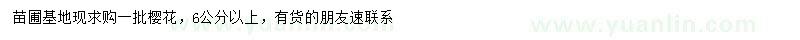 求購(gòu)6公分以上櫻花