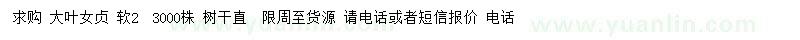 求購 2公分大葉女貞