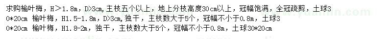 求購榆葉梅