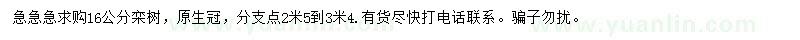 求購(gòu)16公分欒樹(shù)