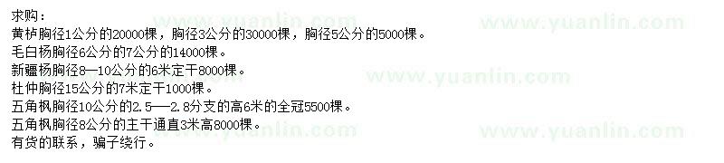 求購黃櫨、毛白楊、新疆楊等