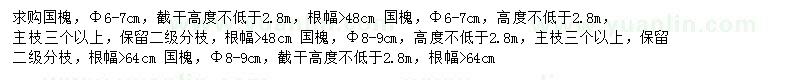 求購(gòu)國(guó)槐