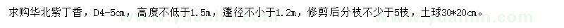 求購華北紫丁香