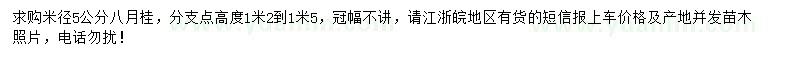 求購米徑5公分八月桂