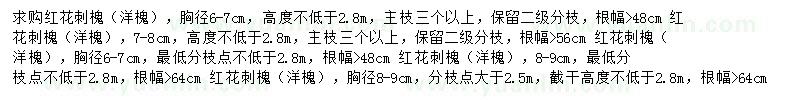 求購紅花刺槐