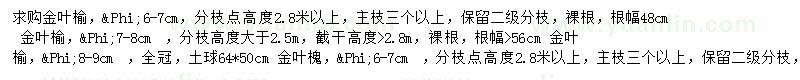 求購(gòu)胸徑6-7、7-8公分金葉榆