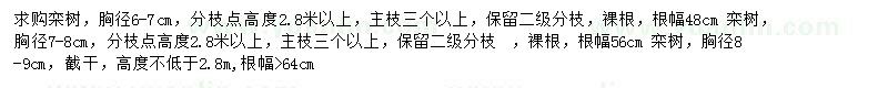 求購胸徑6-7、7-8、8-9公分欒樹