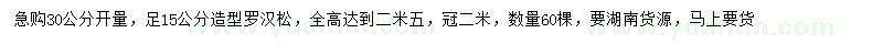 求購(gòu)30處量15公分羅漢松