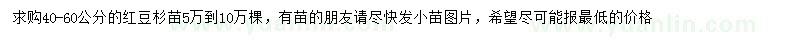求購(gòu)40-60公分紅豆杉