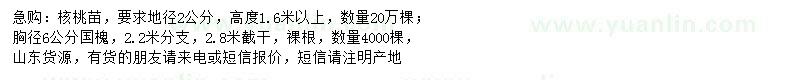求購(gòu)地徑2公分核桃、胸徑6公分國(guó)槐