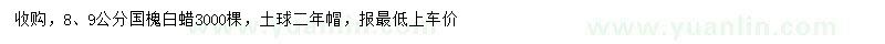 求購8、9公分國槐、白蠟