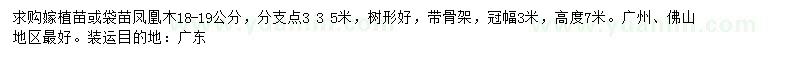 求購18-19公分鳳凰木