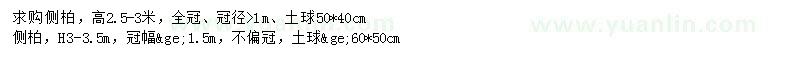 求購高2.5-3、3-3.5m米側(cè)柏