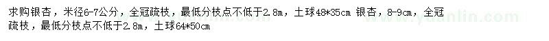求購(gòu)米徑6-7、8-9公分銀杏