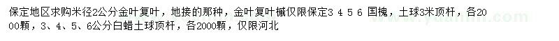 求購(gòu)米徑2公分金葉復(fù)葉槭