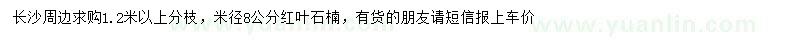 求購米徑8公分紅葉石楠