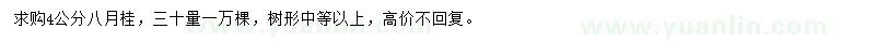 求購4公分八月桂