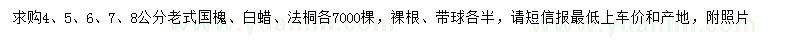 求購國槐、白蠟、法桐