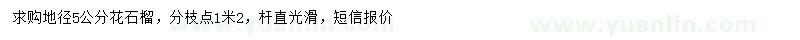 求購地徑5公分花石榴