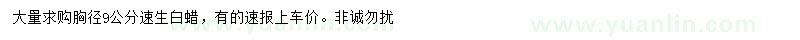 求購胸徑9公分速生白蠟