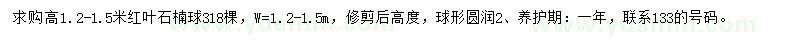 求購高1.2-1.5米紅葉石楠球