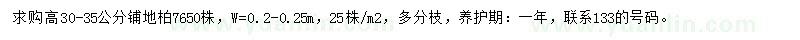 求購高30-35公分鋪地柏