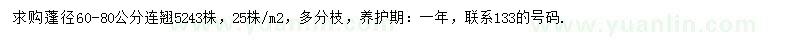 求購蓬徑60-80公分連翹