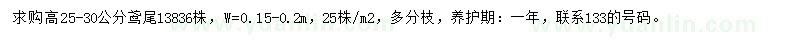 求購高25-30公分鳶尾